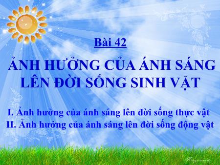 Bài giảng Khoa học tự nhiên Lớp 9 Sách Kết nối tri thức - Bài 42: Ảnh hưởng của ánh sáng lên đời sống sinh vật - Trường THCS Tân Thành