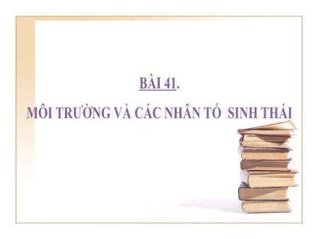 Bài giảng Khoa học tự nhiên Lớp 9 Sách Kết nối tri thức - Bài 41: Môi trường và các nhân tố sinh thái - Trường THCS Tân Thành