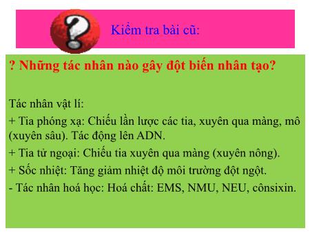 Bài giảng Khoa học tự nhiên Lớp 9 Sách Kết nối tri thức - Tiết 34: Thoái hóa do tự thụ phấn và do giao phối gần - Trường THCS Tân Thành