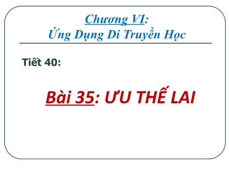 Bài giảng Khoa học tự nhiên Lớp 9 Sách Kết nối tri thức - Tiết 40, Bài 35: Ưu thế lai - Trường THCS Vĩnh Hào
