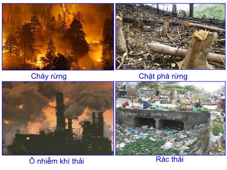 Bài giảng Sinh học Lớp 9 - Bài 53: Tác động của con người đối với môi trường