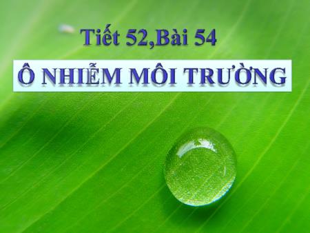 Bài giảng Sinh học Lớp 9 - Tiết 52, Bài 54: Ô nhiễm môi trường