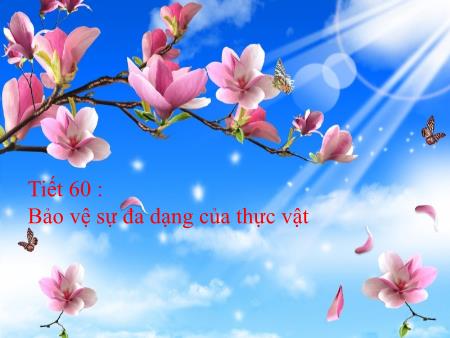 Bài giảng Sinh học Lớp 9 - Tiết 60: Bảo vệ sự đa dạng của thực vật